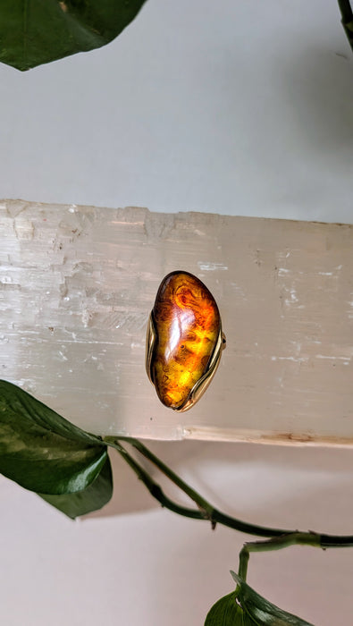 The Solstice Ring