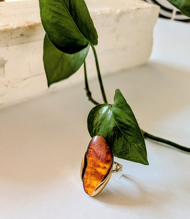 The Solstice Ring