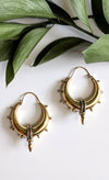 Gold hoop earrings on a white surface with green leaves in the background